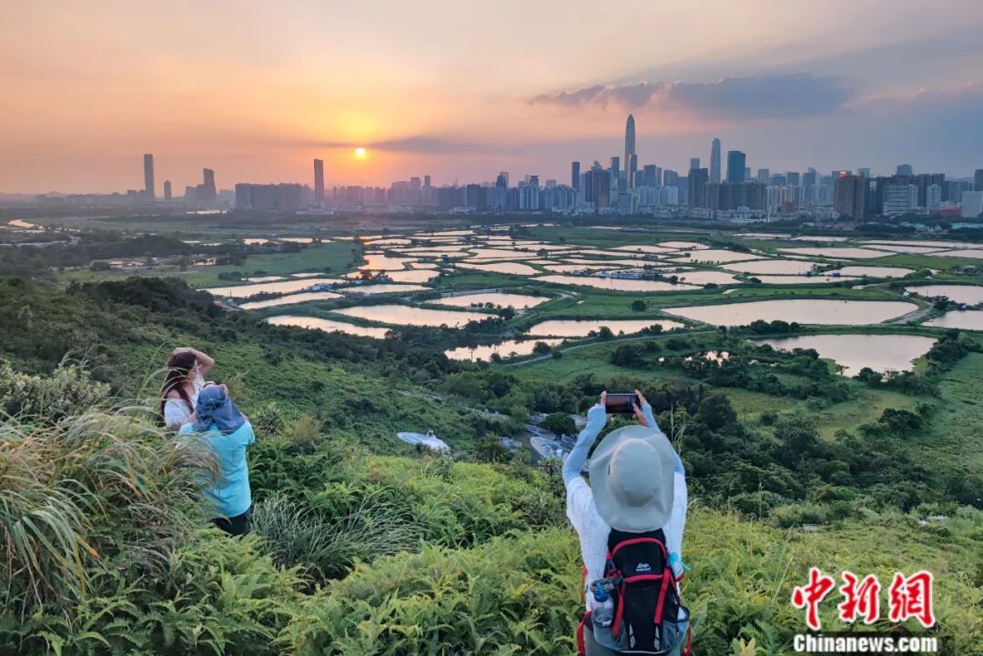 “数”解香港北部财富密码