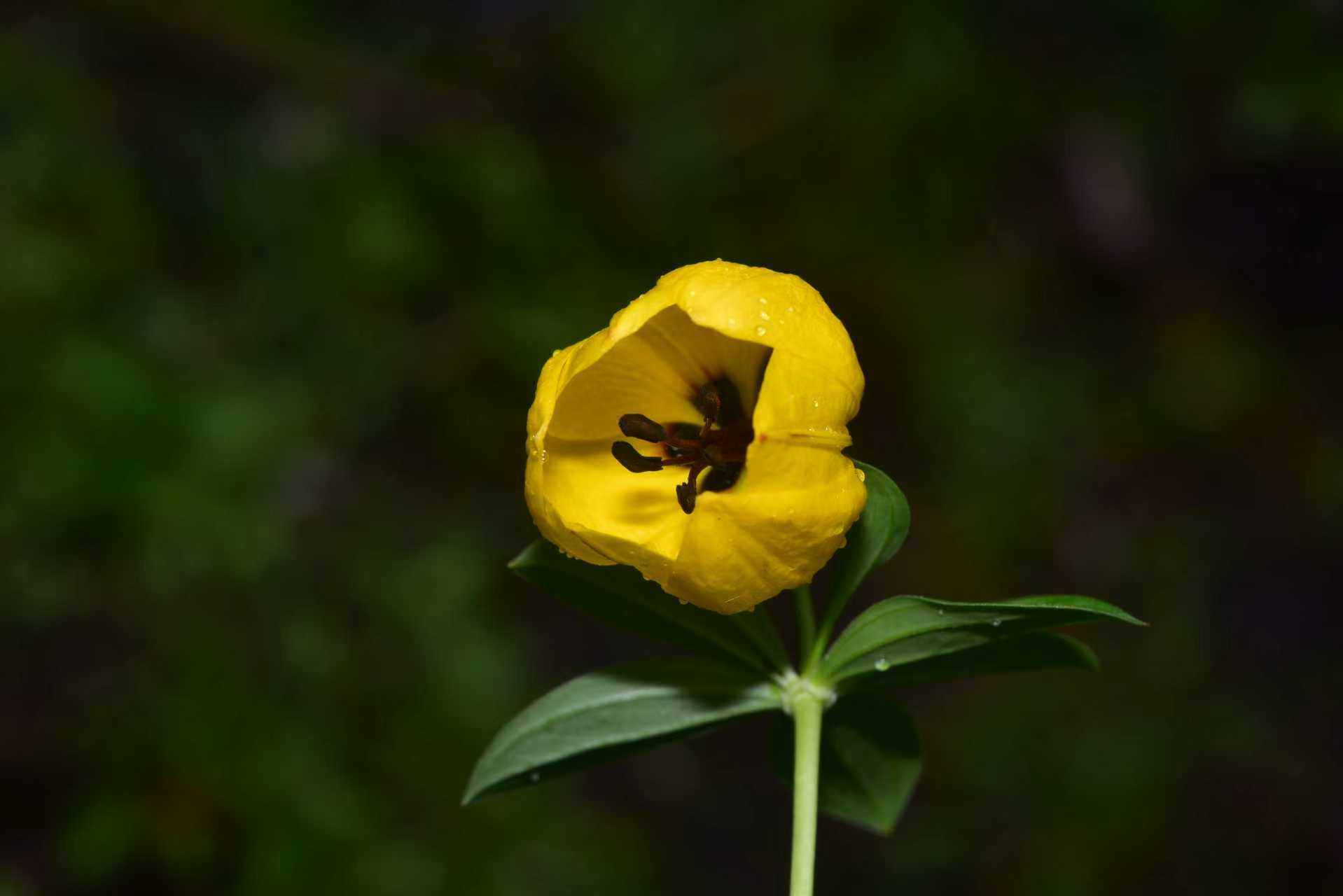 眼中的“禁区”为何却是生物多样性宝库？