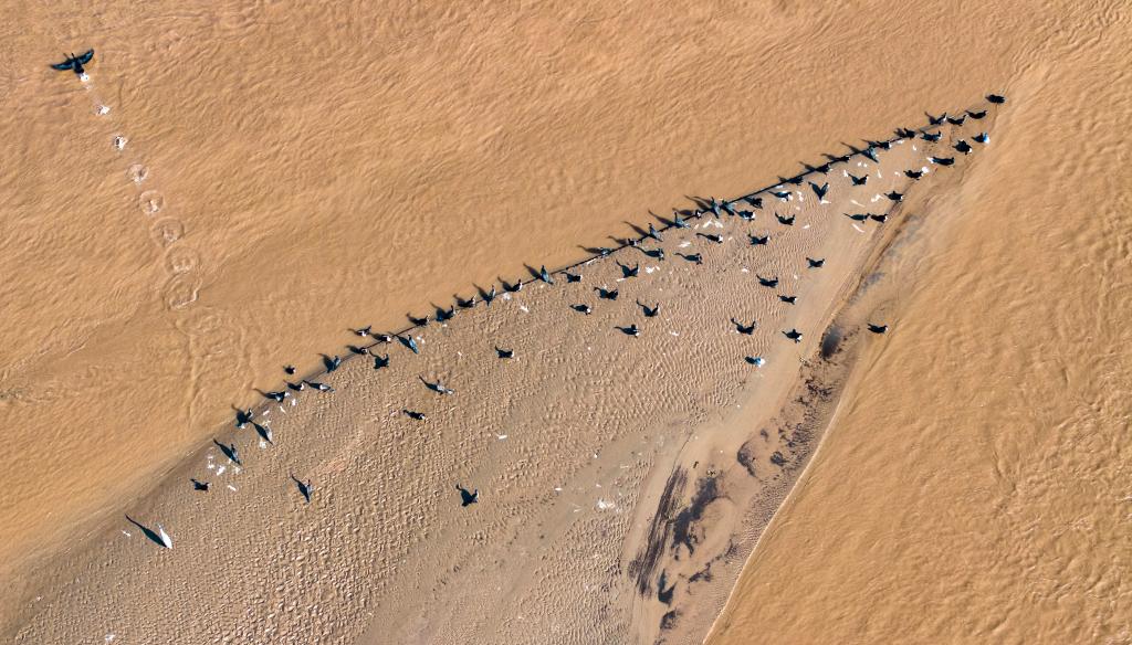 新华鲜报·规划建议新看点丨拓展流域经济 做好江河“大文章”