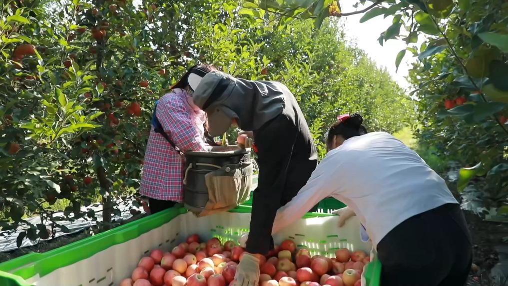 一方水土一方策：高质量发展的“地方答卷”