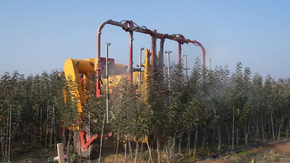 一方水土一方策：高质量发展的“地方答卷”