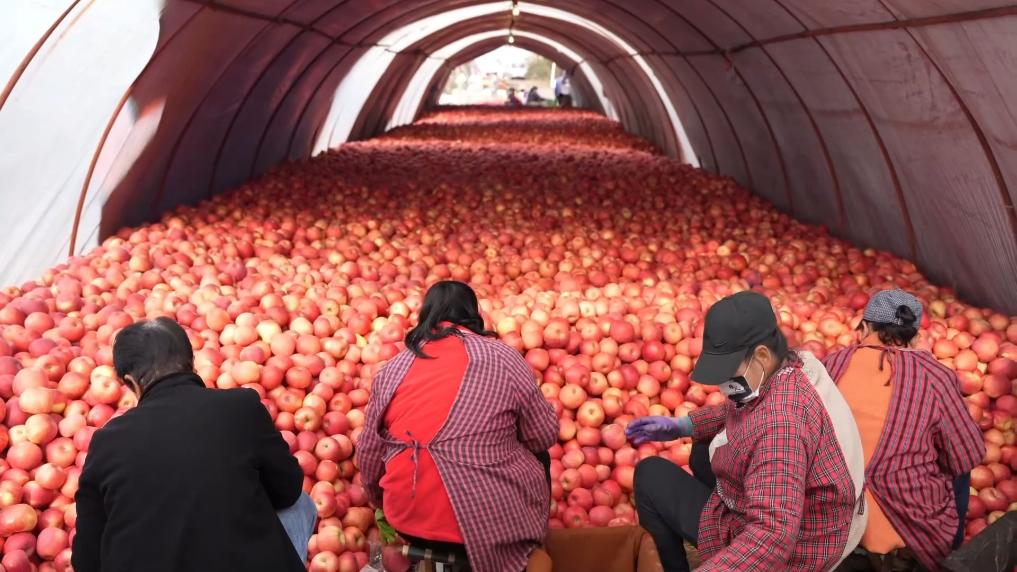 一方水土一方策：高质量发展的“地方答卷”