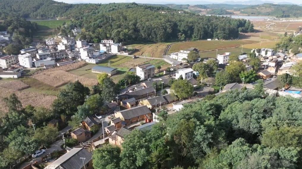 一方水土一方策：高质量发展的“地方答卷”