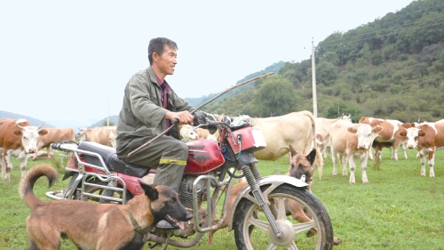 弓阳奔涌“出”吕梁