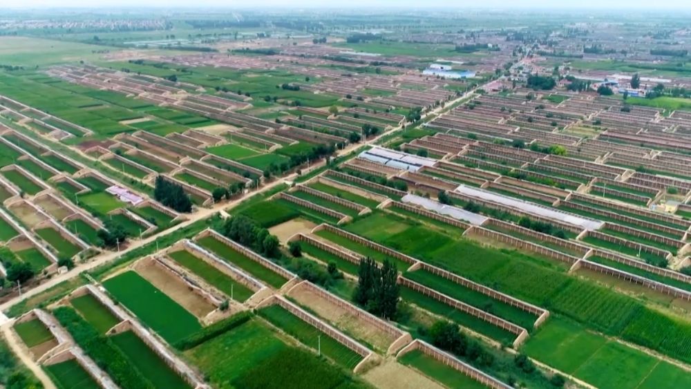 多元特色产业绘就乡村振兴新画卷