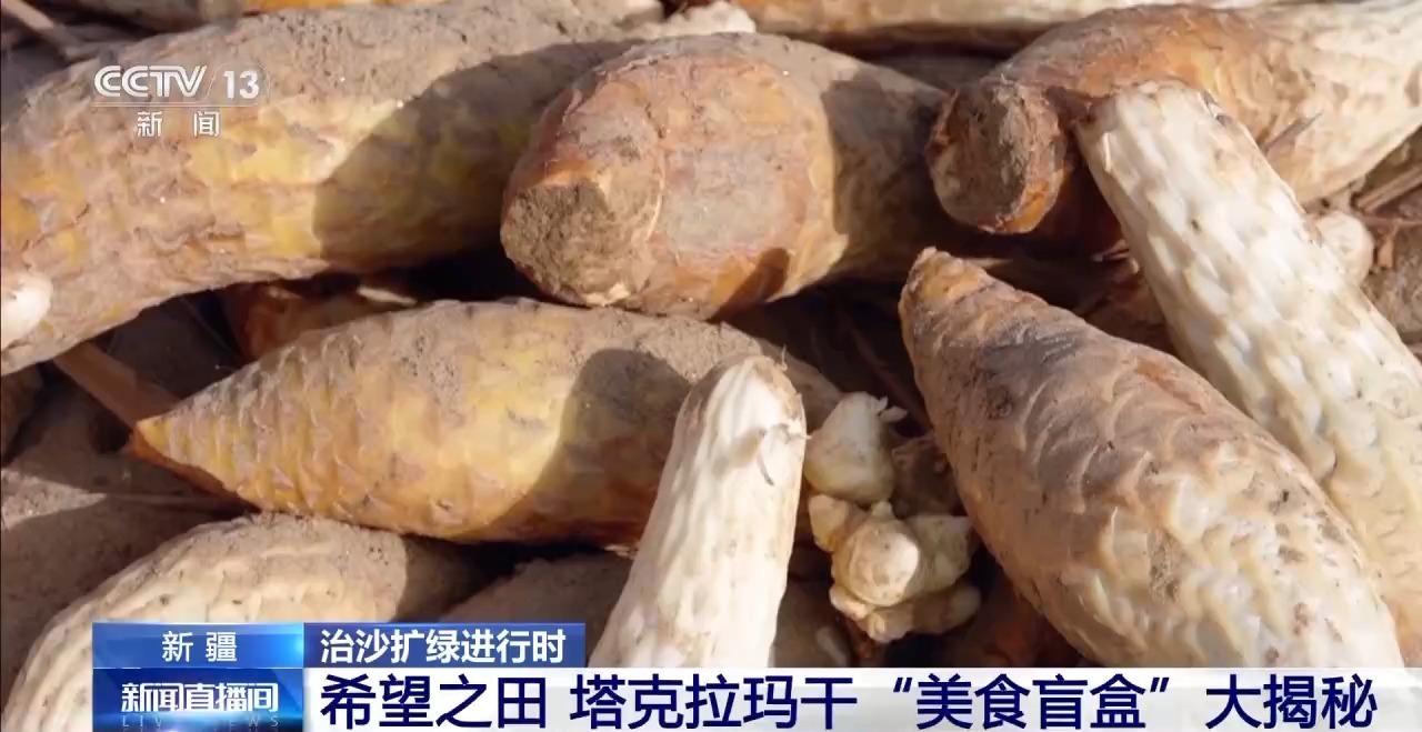 从“死亡之海”到“水产绿洲” 解锁新疆“点沙成金”的密码→