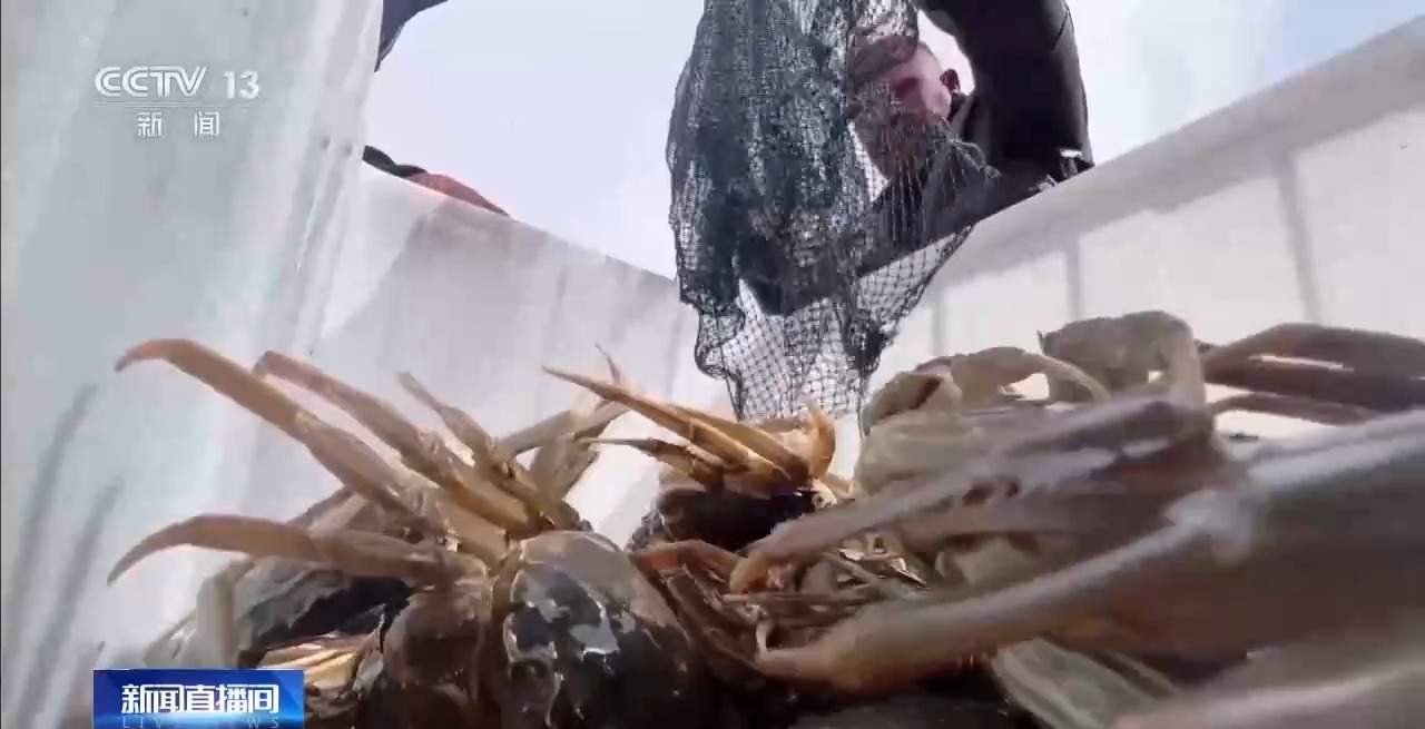 从“死亡之海”到“水产绿洲” 解锁新疆“点沙成金”的密码→