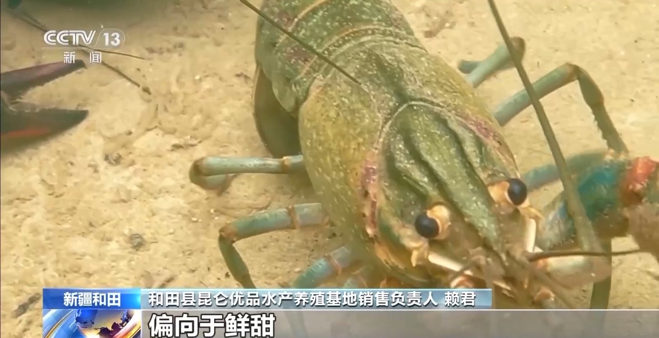 从“死亡之海”到“水产绿洲” 解锁新疆“点沙成金”的密码→