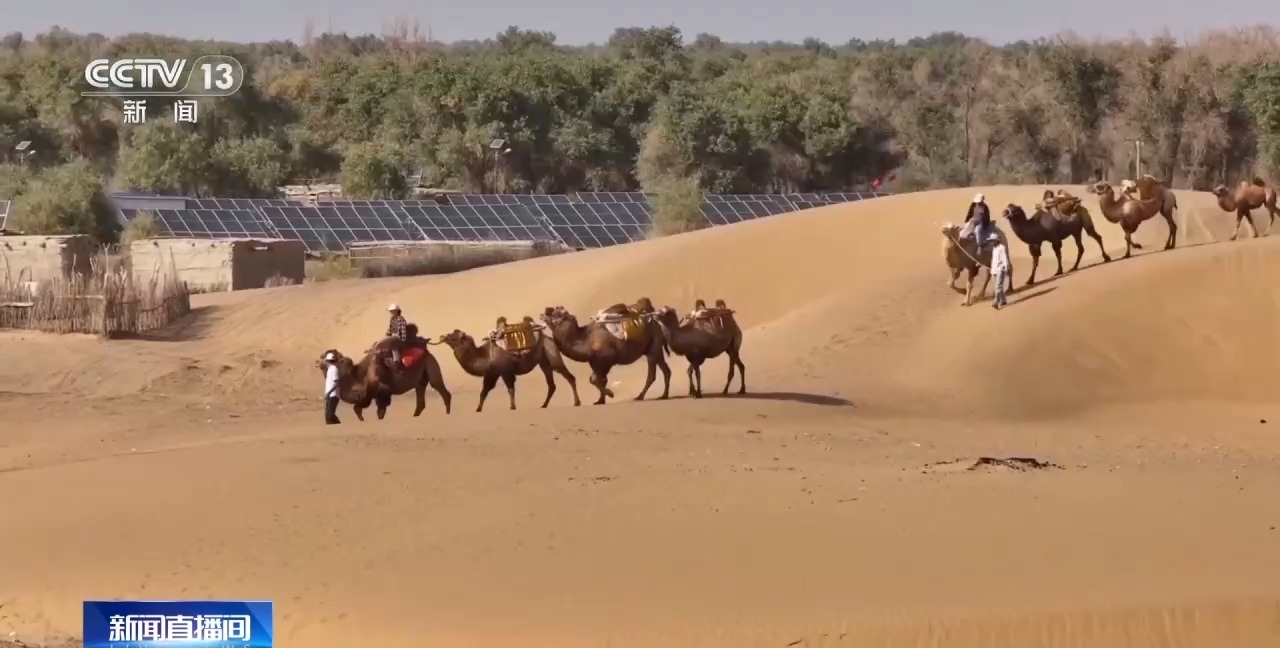 从“死亡之海”到“水产绿洲” 解锁新疆“点沙成金”的密码→