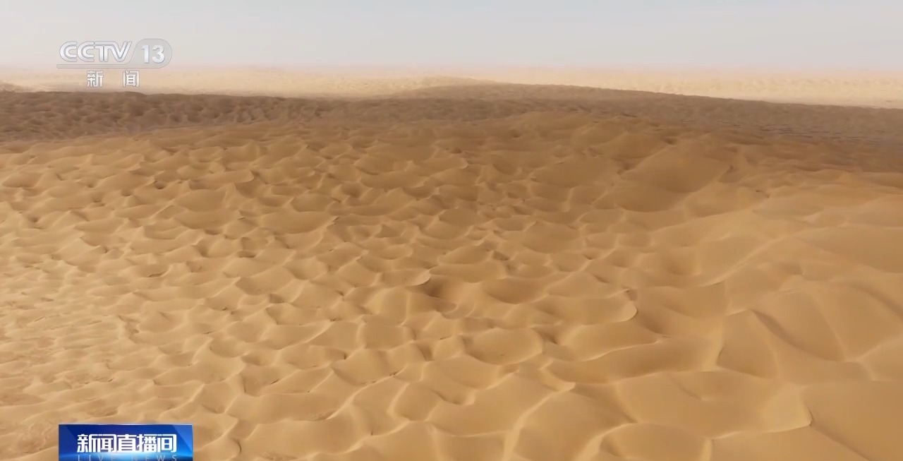 从“死亡之海”到“水产绿洲” 解锁新疆“点沙成金”的密码→