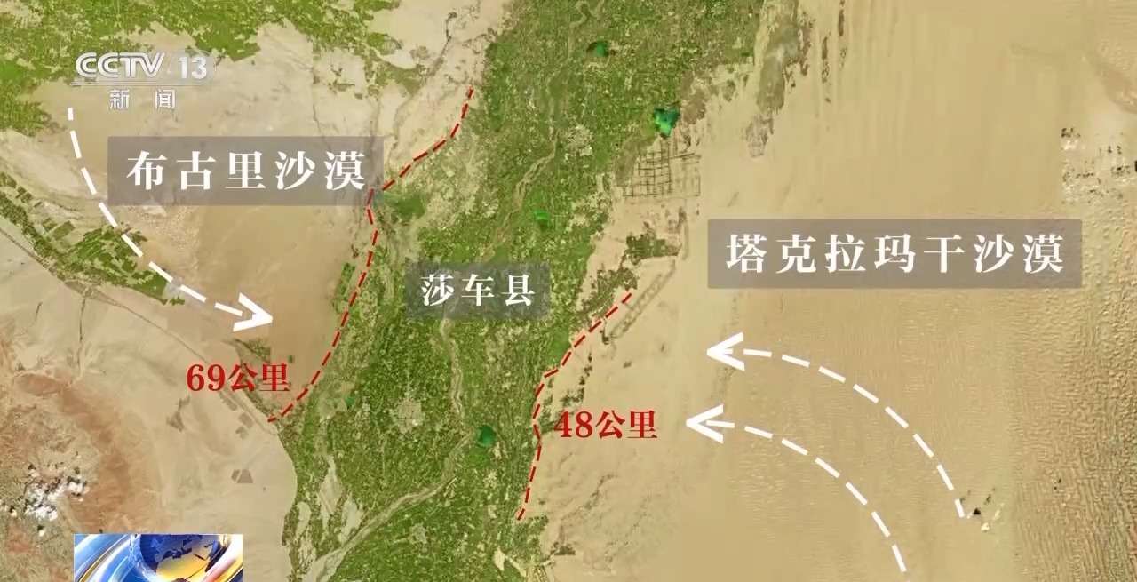 从“死亡之海”到“水产绿洲” 解锁新疆“点沙成金”的密码→