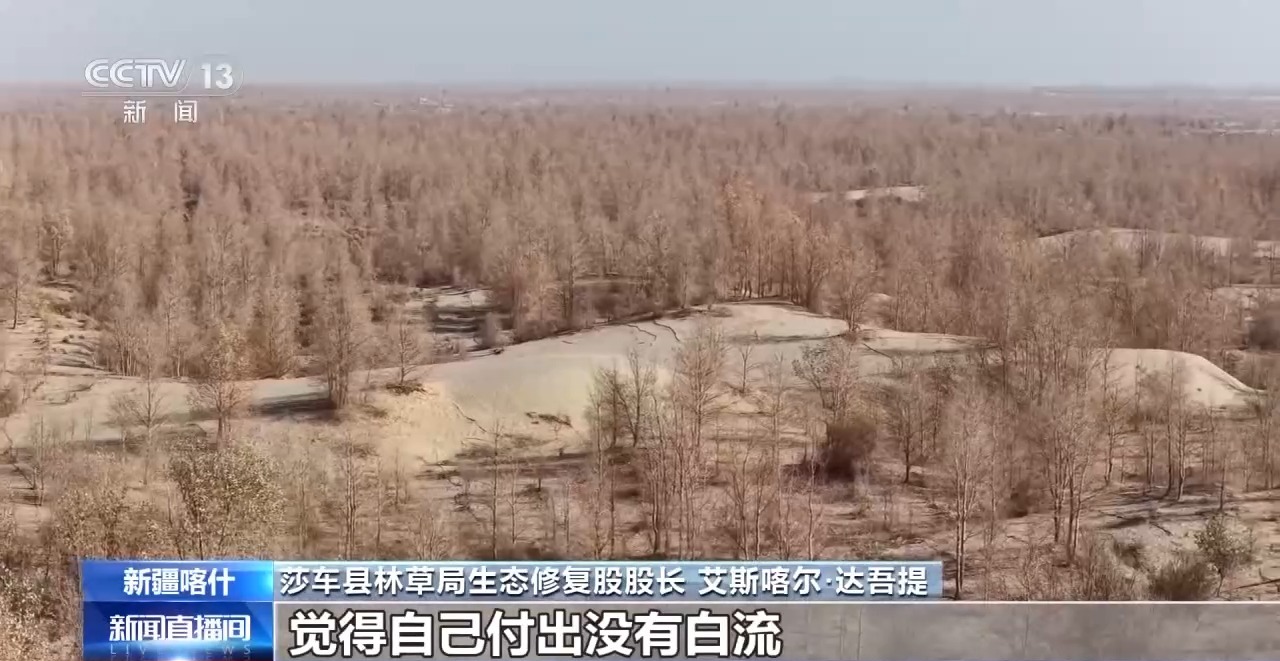 从“死亡之海”到“水产绿洲” 解锁新疆“点沙成金”的密码→