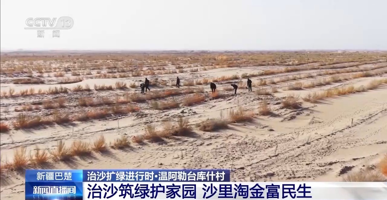 从“死亡之海”到“水产绿洲” 解锁新疆“点沙成金”的密码→