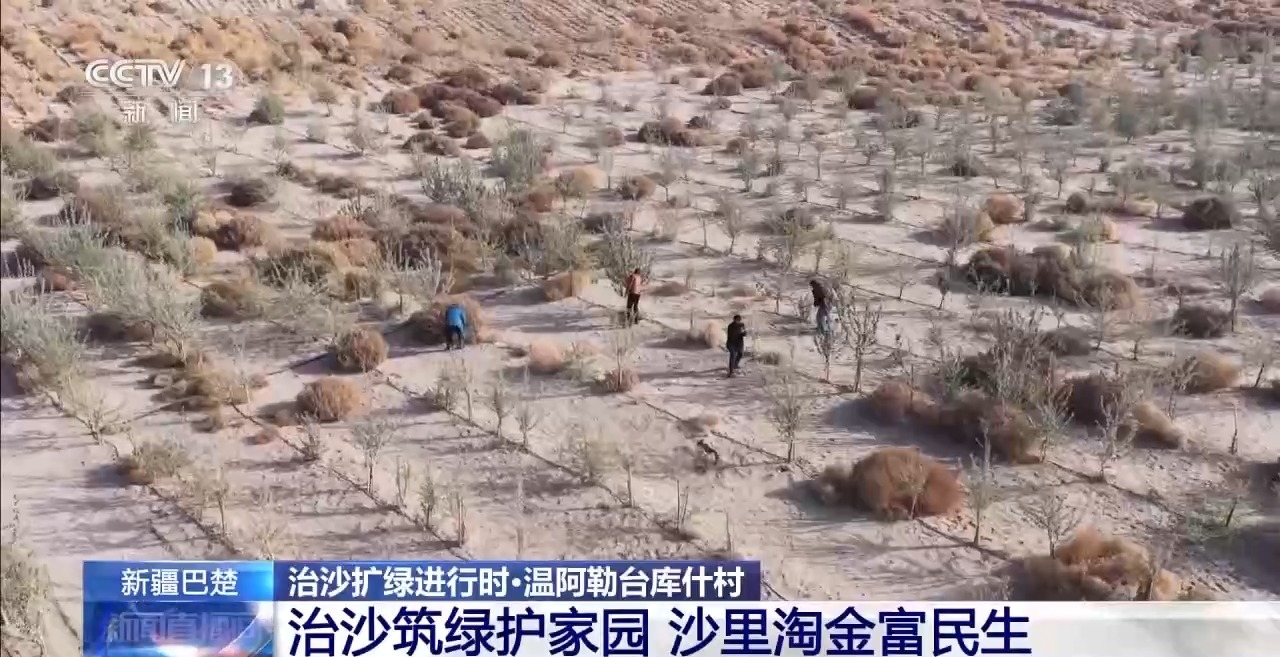 从“死亡之海”到“水产绿洲” 解锁新疆“点沙成金”的密码→