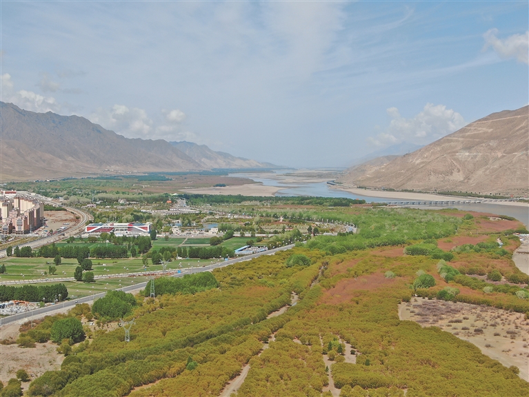 青藏联动报道| “绿进沙退”雅江展新颜