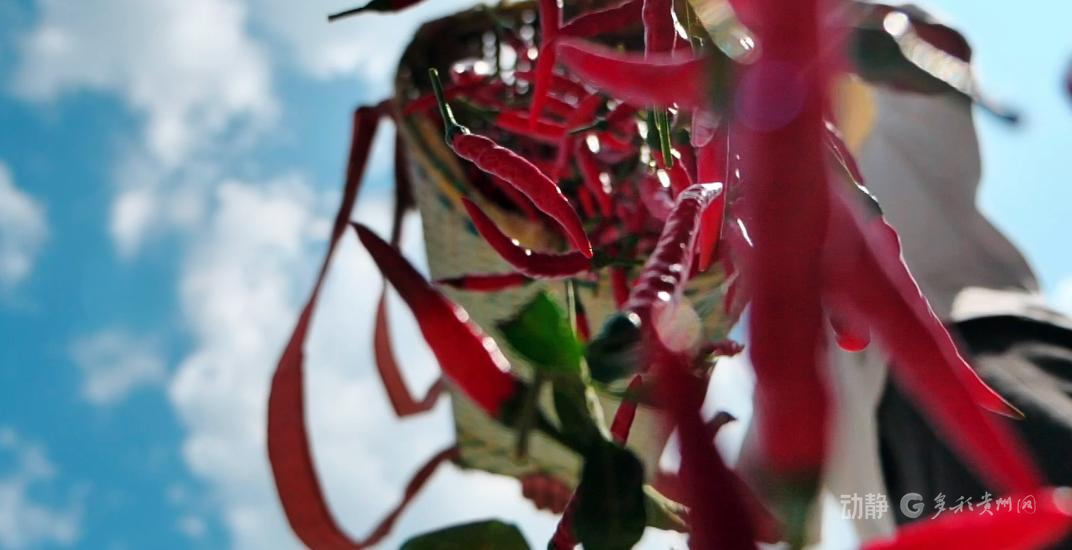 幸福是奋斗出来的