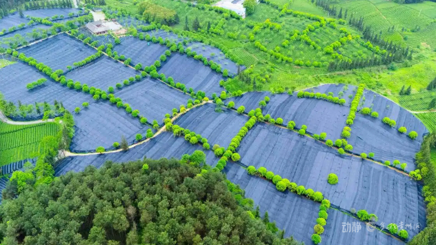 幸福是奋斗出来的