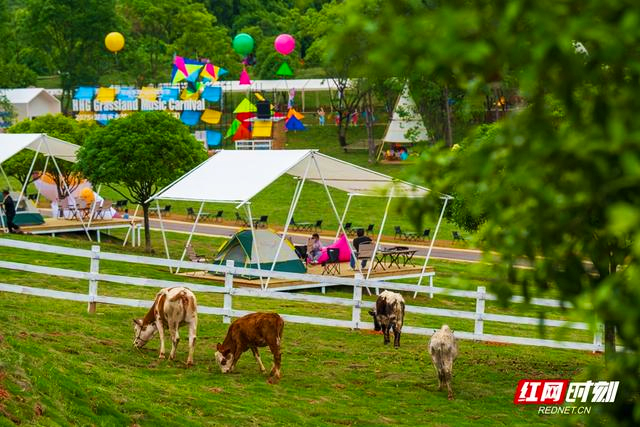 “链”上湖南 “湘”创未来丨湘赣边界崛起“三日游”目的地,花湖谷这样把山水变“流量” 111.jpg