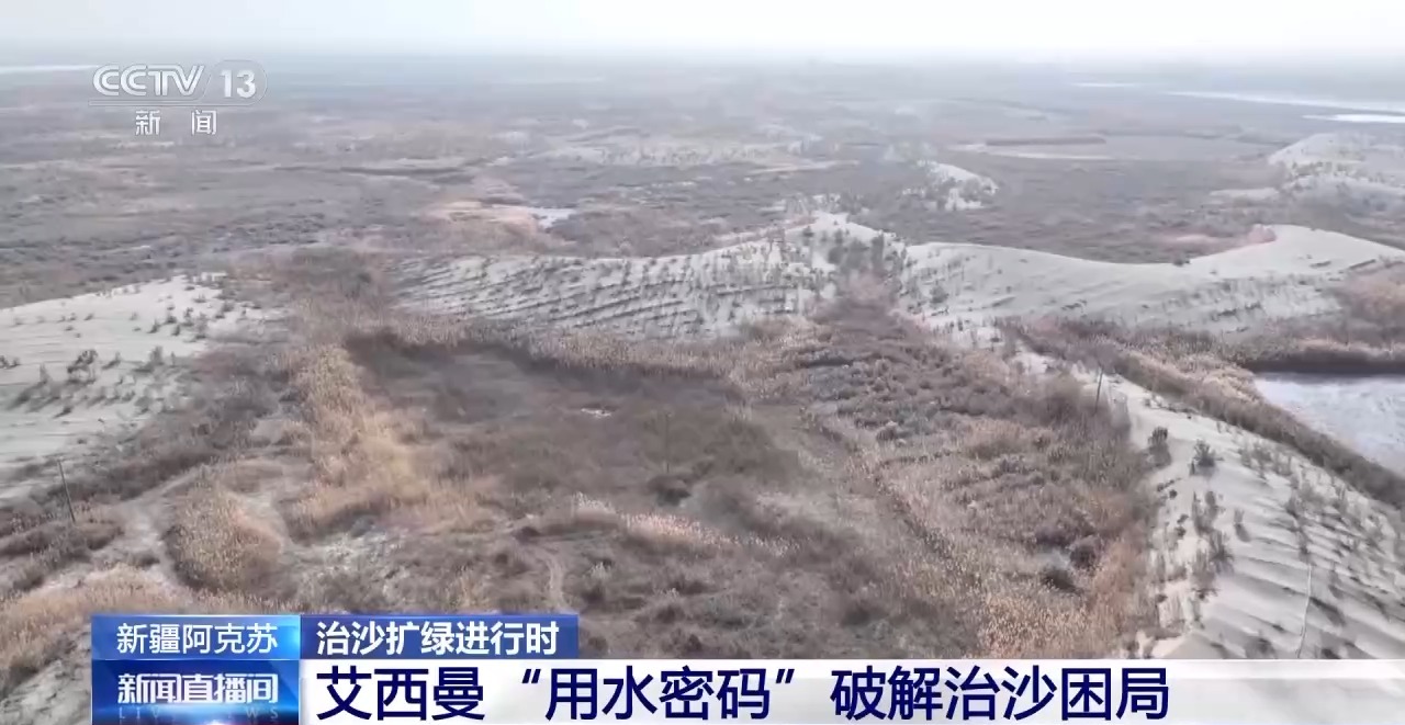 视频丨从防沙、固沙到治沙、用沙 看他们如何阻止两大沙漠合拢→