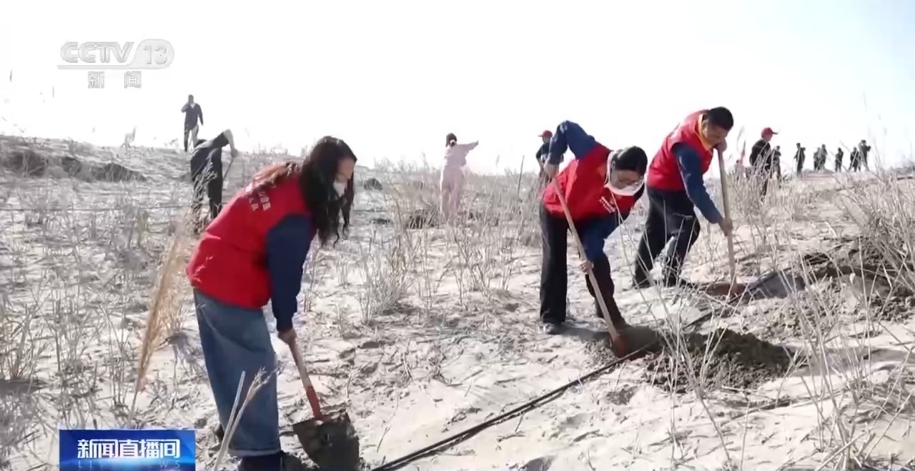 视频丨从防沙、固沙到治沙、用沙 看他们如何阻止两大沙漠合拢→