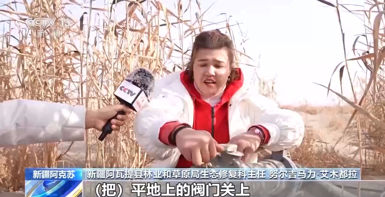 视频丨从防沙、固沙到治沙、用沙 看他们如何阻止两大沙漠合拢→