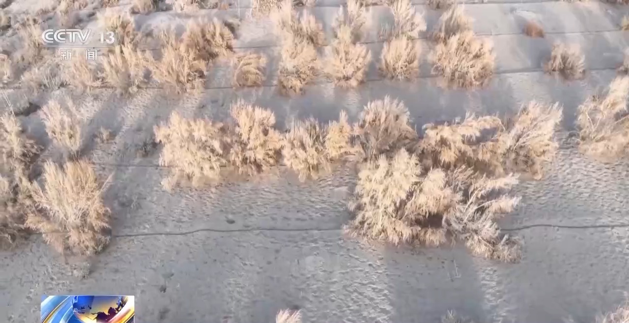 视频丨从防沙、固沙到治沙、用沙 看他们如何阻止两大沙漠合拢→