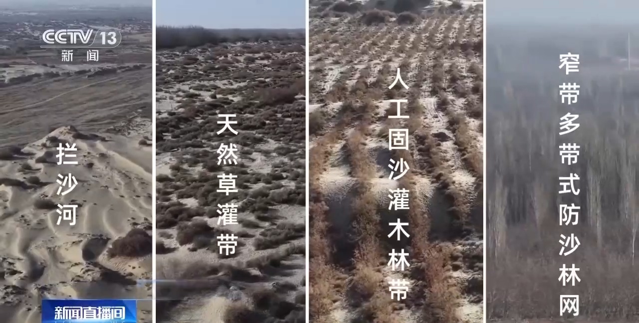 视频丨从防沙、固沙到治沙、用沙 看他们如何阻止两大沙漠合拢→