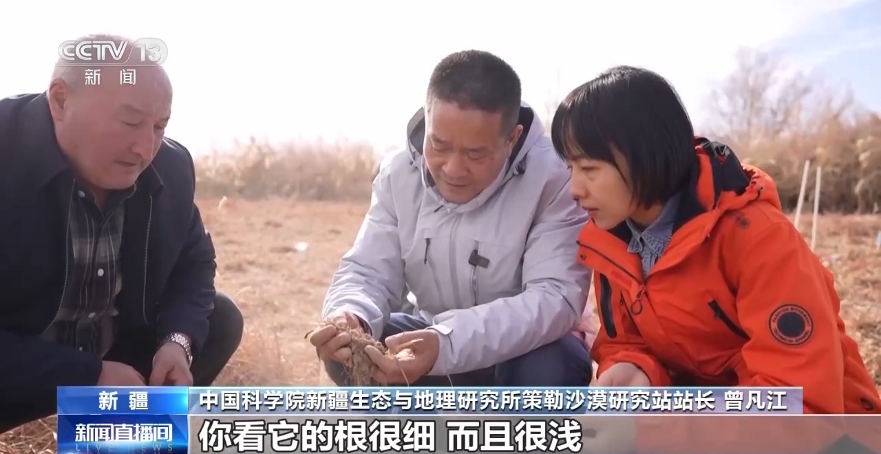 视频丨从防沙、固沙到治沙、用沙 看他们如何阻止两大沙漠合拢→