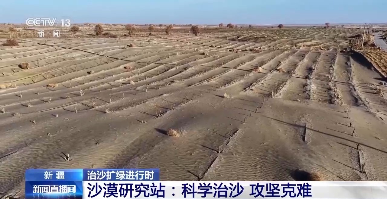 视频丨从防沙、固沙到治沙、用沙 看他们如何阻止两大沙漠合拢→