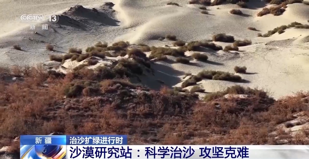 视频丨从防沙、固沙到治沙、用沙 看他们如何阻止两大沙漠合拢→