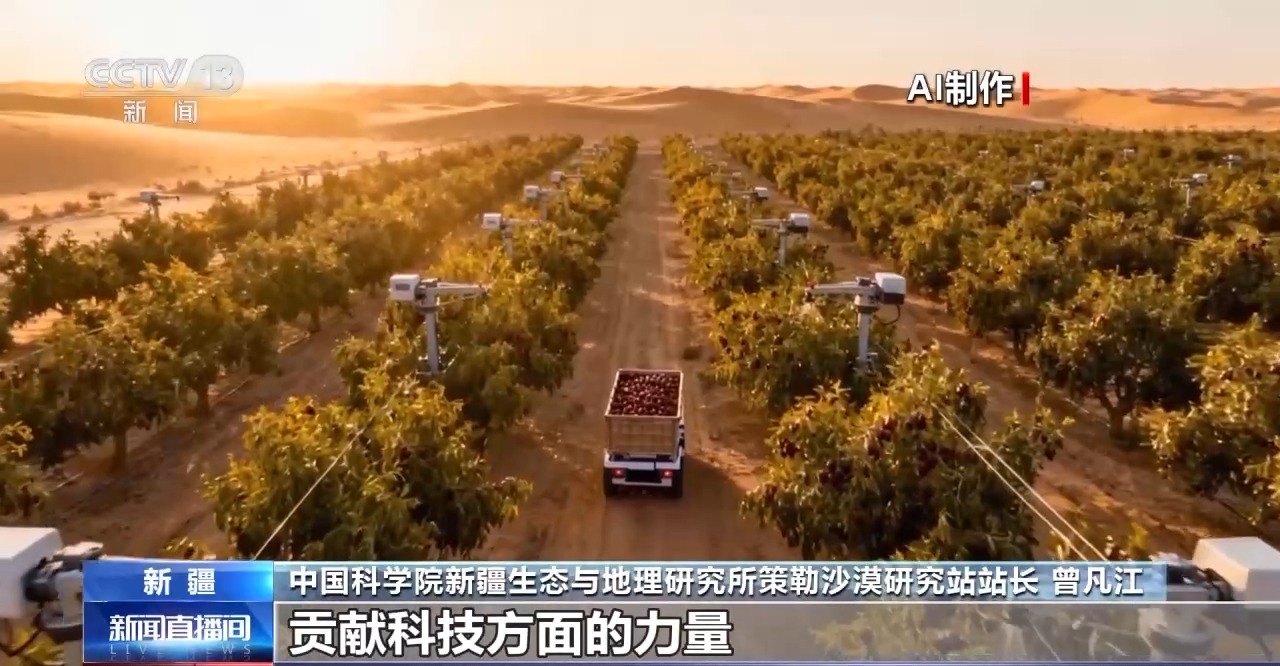 视频丨从防沙、固沙到治沙、用沙 看他们如何阻止两大沙漠合拢→