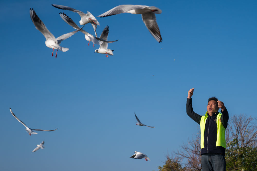 镜观·回响|弘扬奉献、友爱、互助、进步的志愿精神 镜观·回响|弘扬奉献、友爱、互助、进步的志愿精神