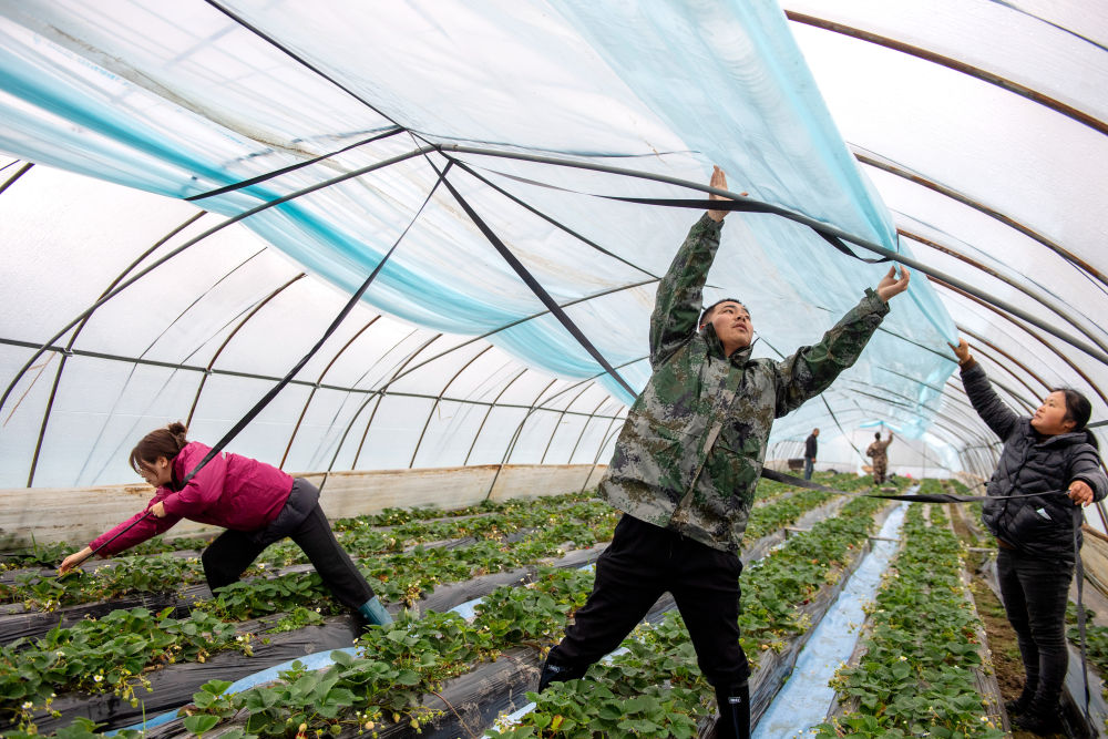 镜观·回响｜弘扬奉献、友爱、互助、进步的志愿精神