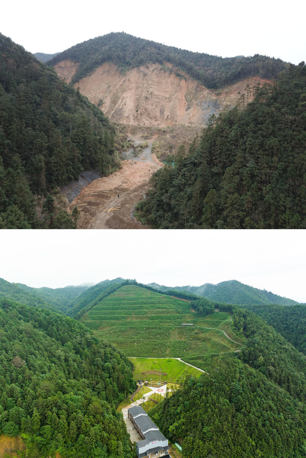 四中全会精神在基层| 荒山“焕新”记 四中全会精神在基层| 荒山“焕新”记