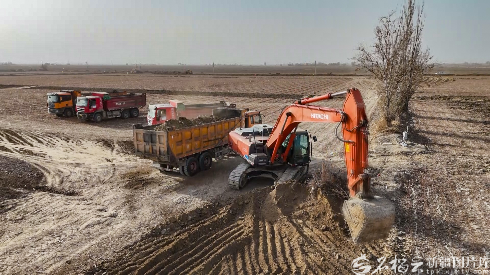 沃野绘新景 农田变良田
