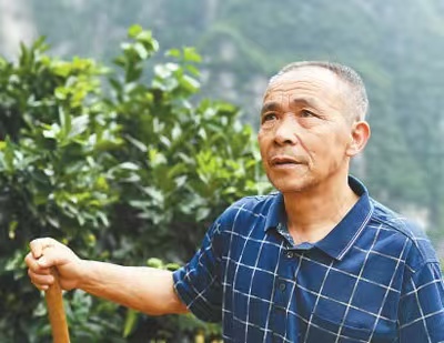 【“十五五”我所思·我所盼】毛相林：让土产样样成“网红”