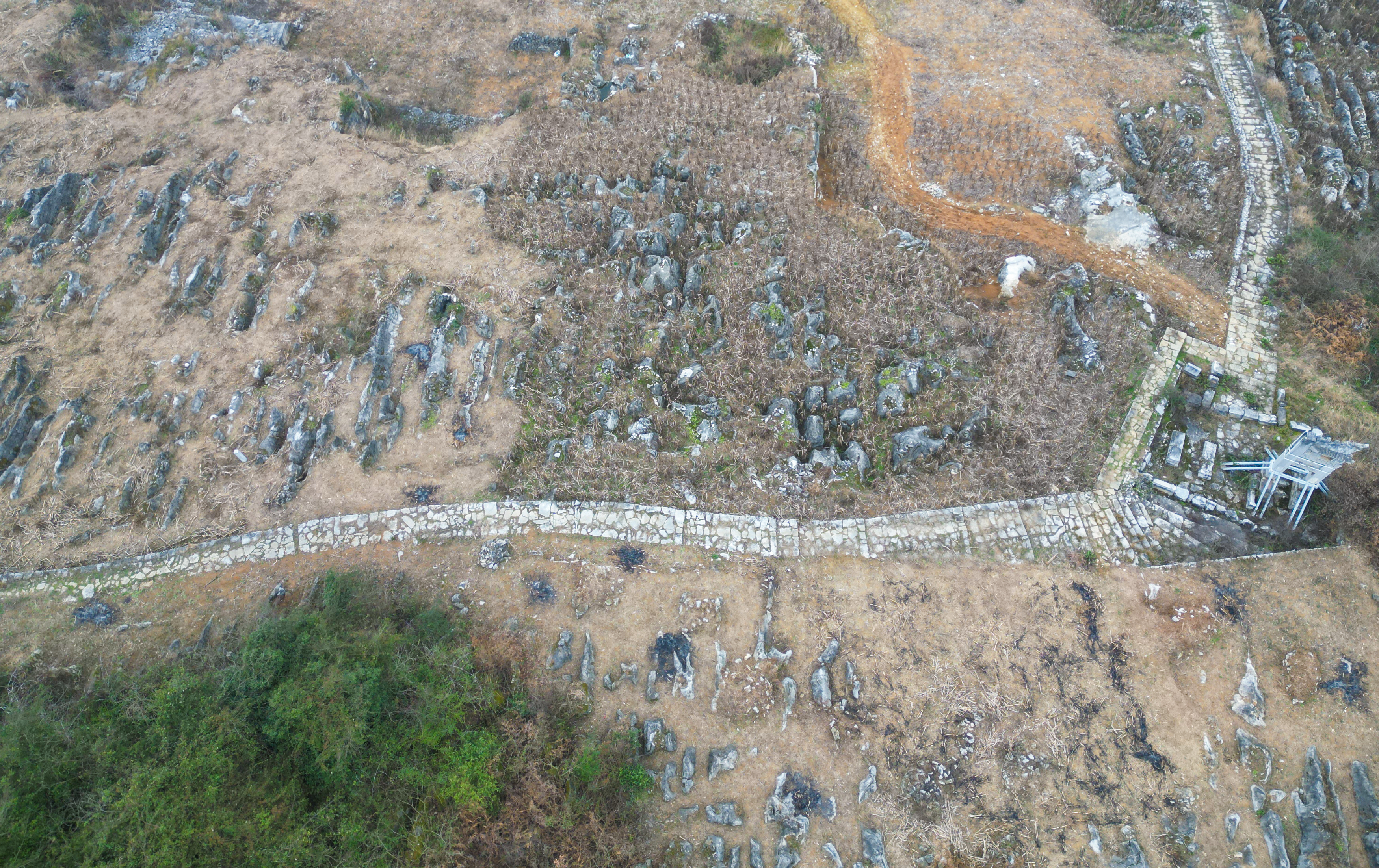 这里，凭什么是中国乡村发展的缩影？