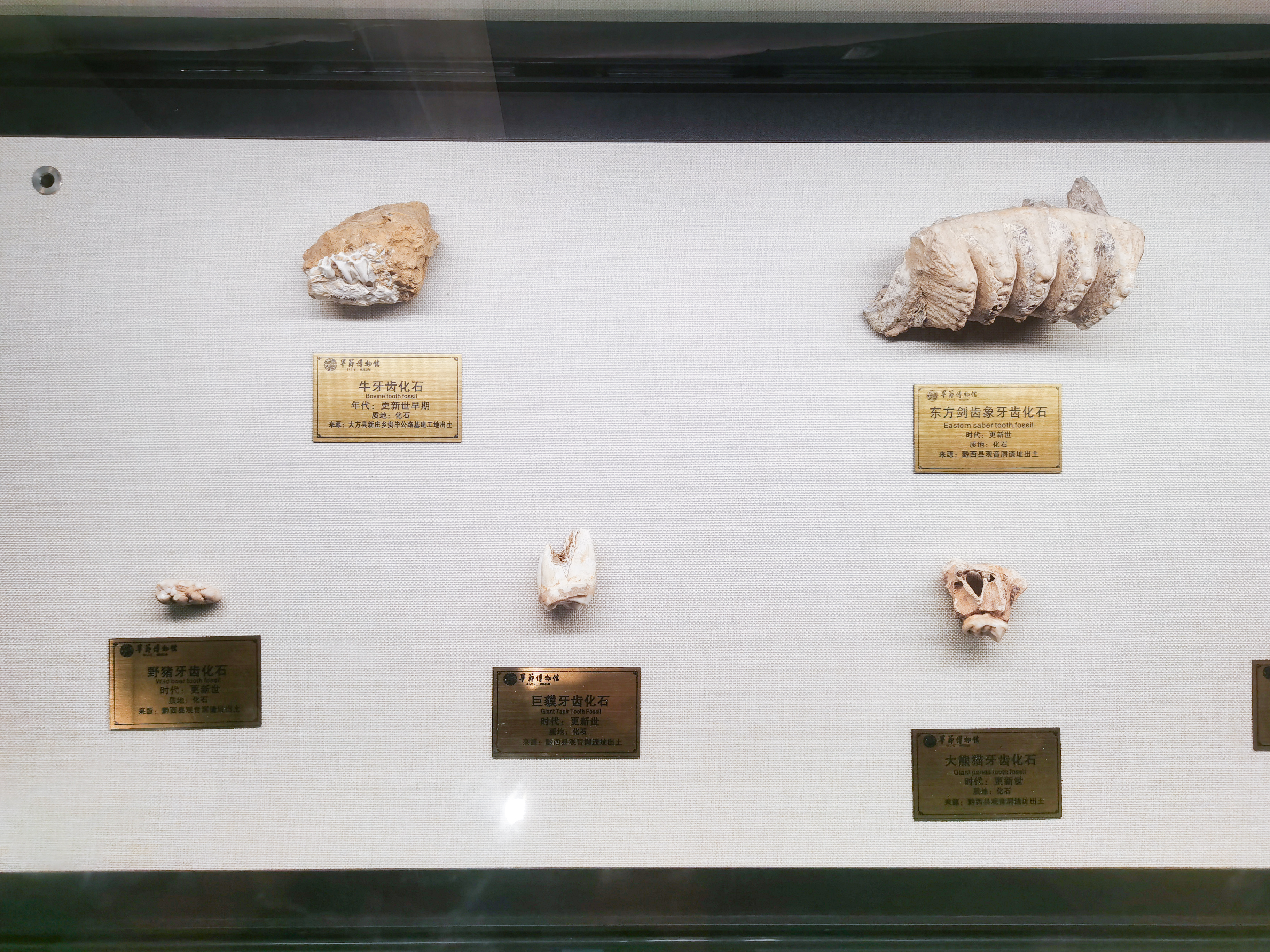 这里，凭什么是中国乡村发展的缩影？