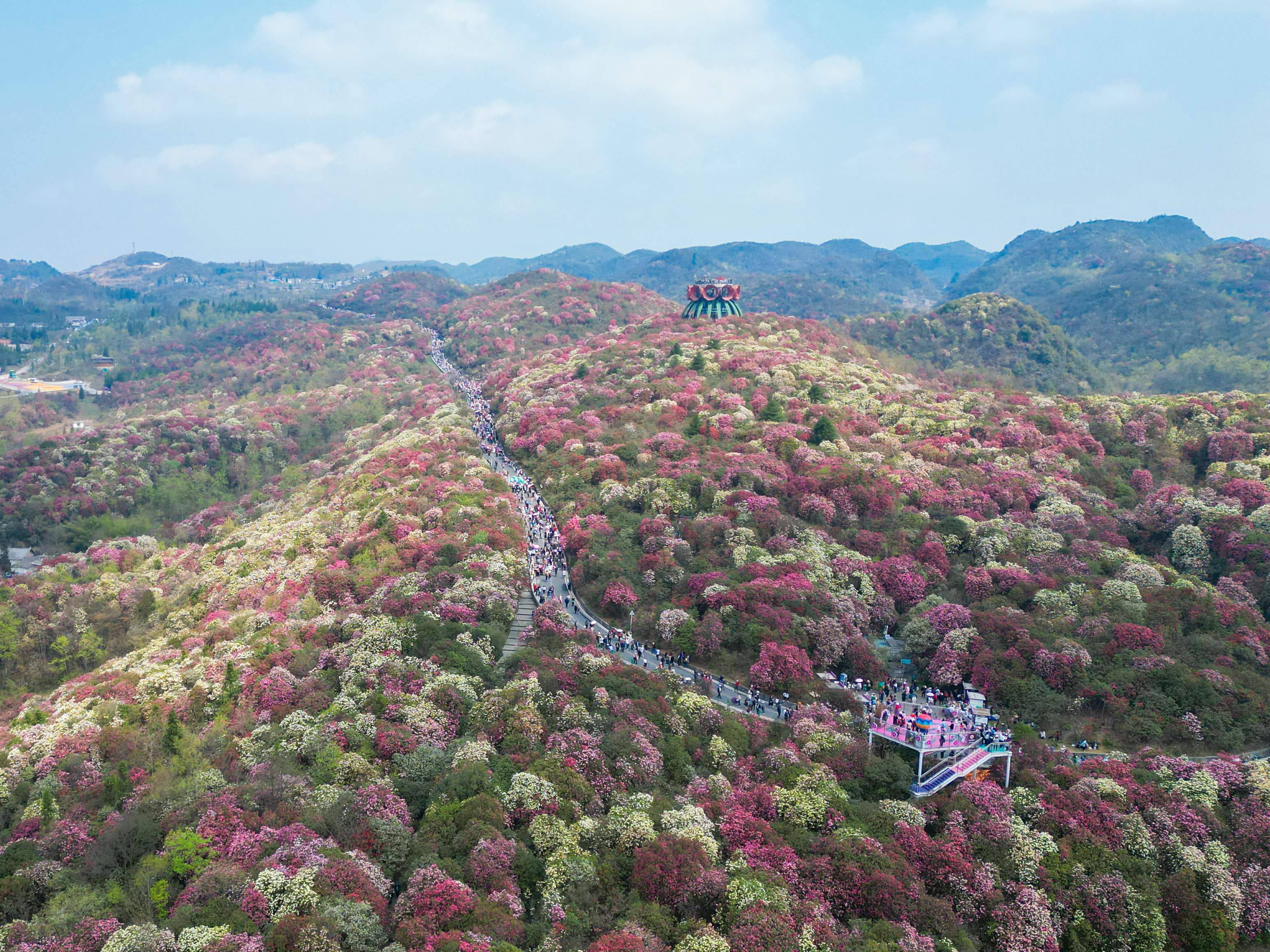 这里，凭什么是中国乡村发展的缩影？