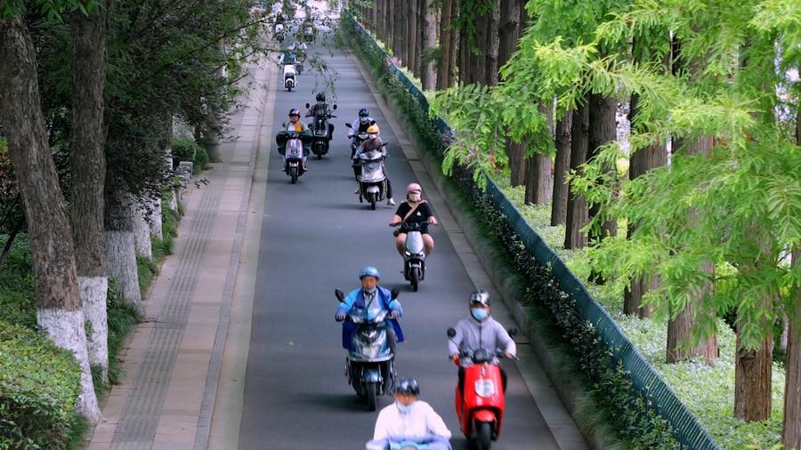 能否搭载儿童？必须安装金属鞍座？电动自行车新国标热点话题追踪