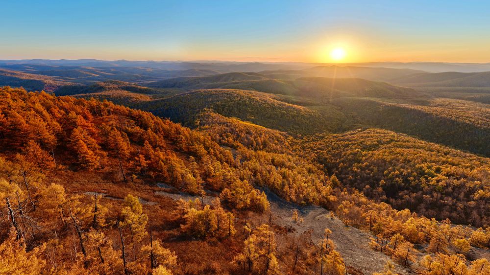 新华鲜报·“十四五”发展亮点|中国“调色盘”增新绿!森林覆盖率超25% 新华鲜报·“十四五”发展亮点|中国“调色盘”增新绿!森林覆盖率超25%