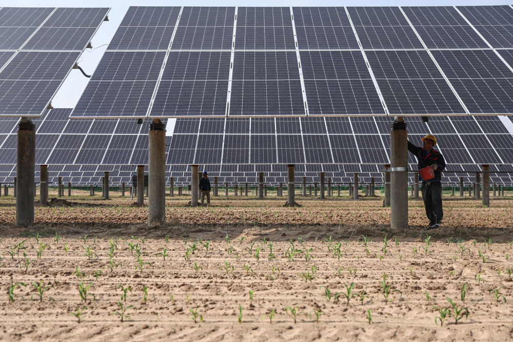 新华鲜报·“十四五”发展亮点|中国“调色盘”增新绿!森林覆盖率超25% 新华鲜报·“十四五”发展亮点|中国“调色盘”增新绿!森林覆盖率超25%