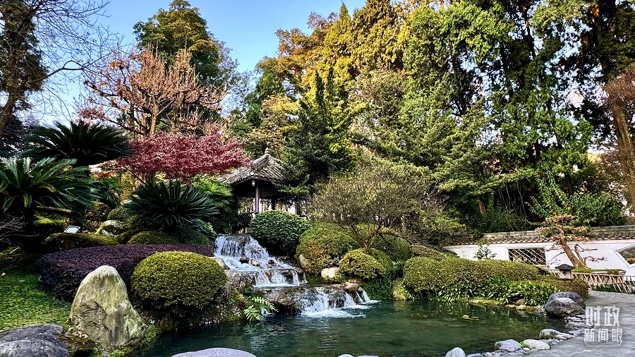 时政新闻眼丨从中法元首会晤的四个“特殊”,读懂大国相处之道