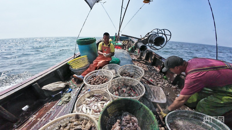 行进的海岸线｜陆海统筹 看中国经济向海图强的价值共生