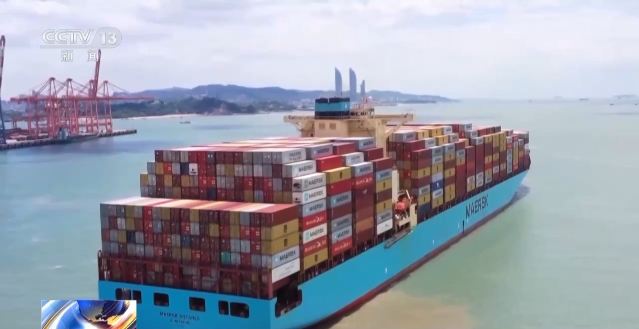 一线见闻丨数据破壁垒 办证不停运!海上运输跑出“加速度”