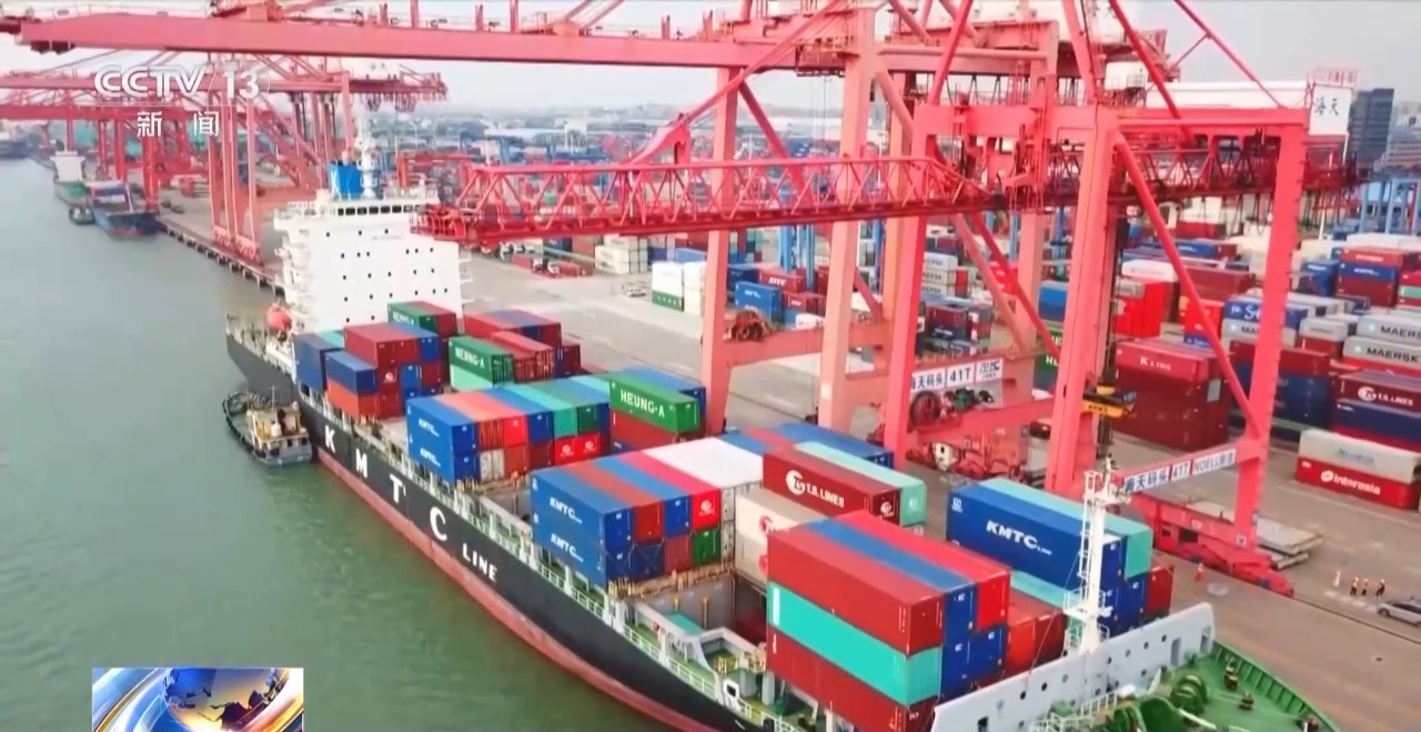 一线见闻丨数据破壁垒 办证不停运!海上运输跑出“加速度”