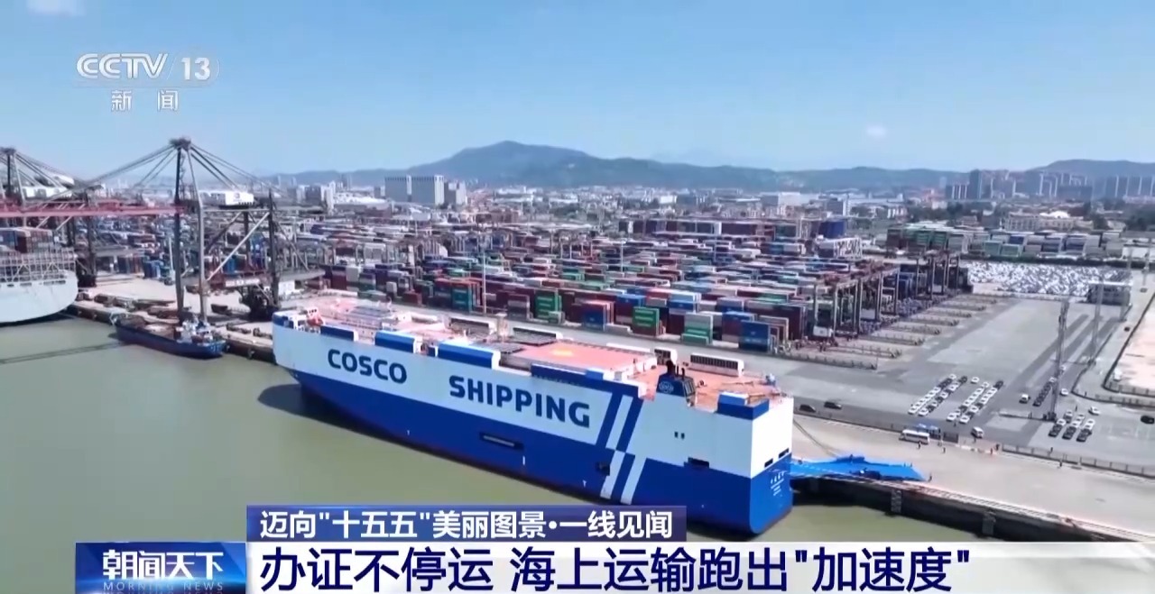 一线见闻丨数据破壁垒 办证不停运!海上运输跑出“加速度”