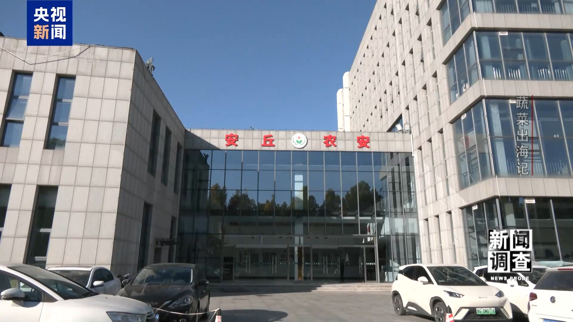 新闻调查丨从追标准到定标准 “中国蔬菜出口第一县”做对了什么? 新闻调查丨从追标准到定标准 “中国蔬菜出口第一县”做对了什么?