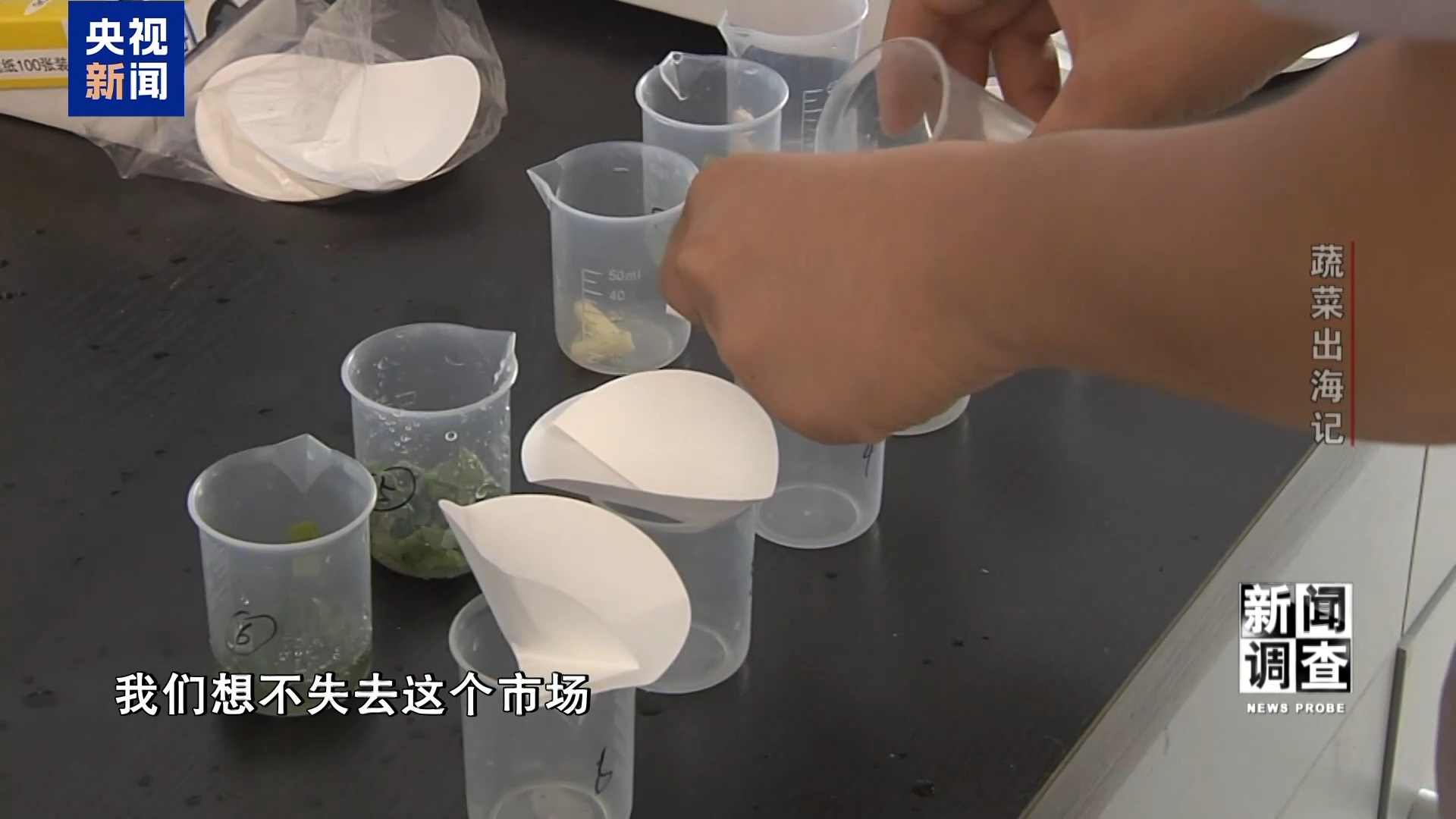 新闻调查丨从追标准到定标准 “中国蔬菜出口第一县”做对了什么? 新闻调查丨从追标准到定标准 “中国蔬菜出口第一县”做对了什么?