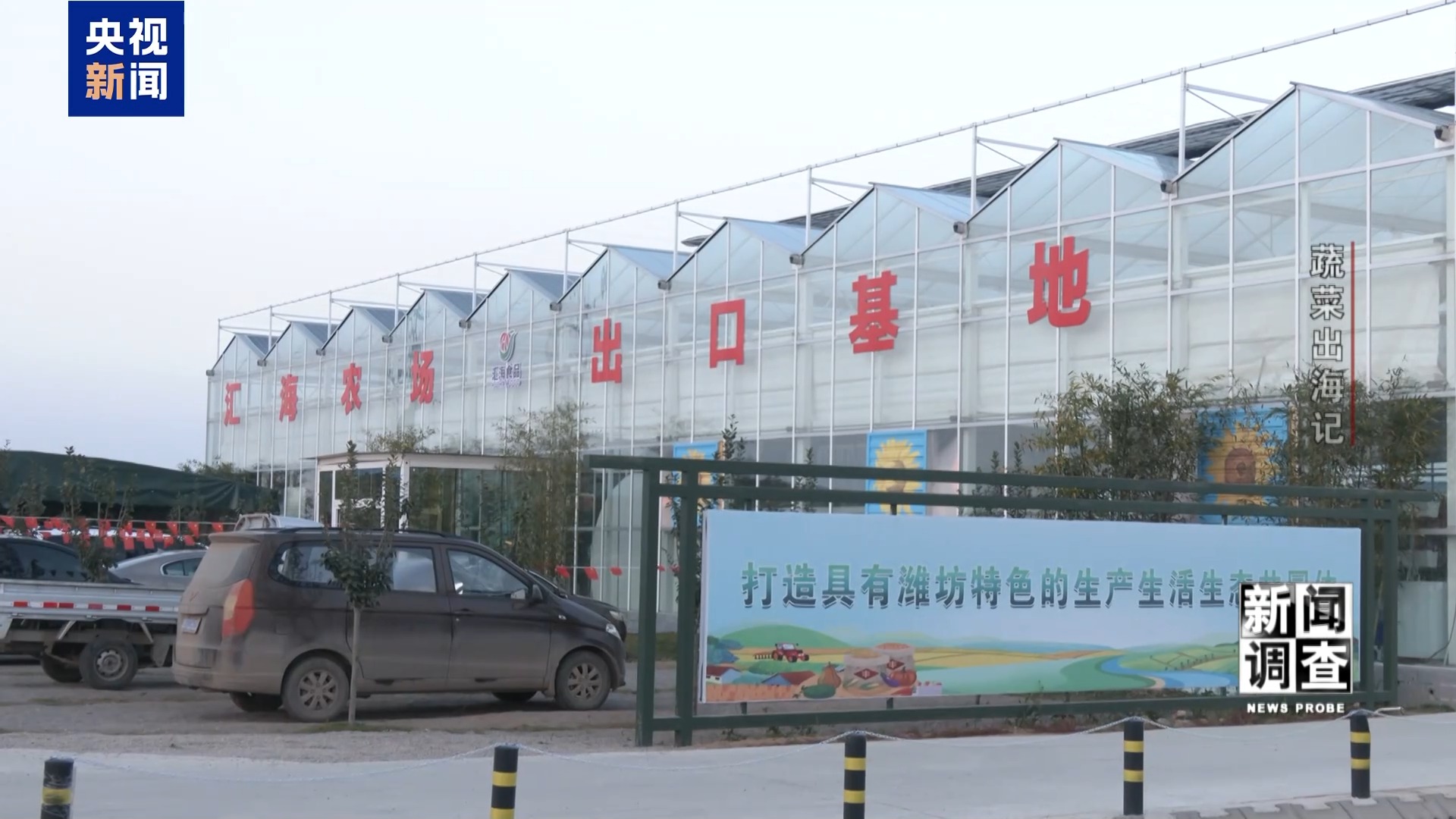 新闻调查丨从追标准到定标准 “中国蔬菜出口第一县”做对了什么? 新闻调查丨从追标准到定标准 “中国蔬菜出口第一县”做对了什么?